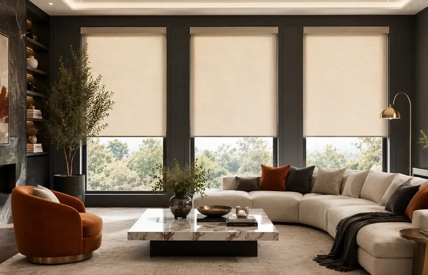 Living Rooms window treatment